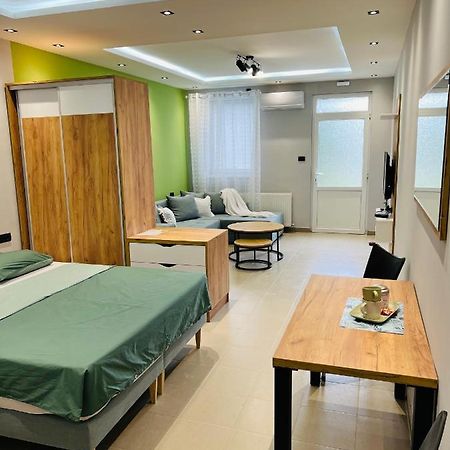Apartman Novi Sad 彼得罗瓦拉丁 外观 照片