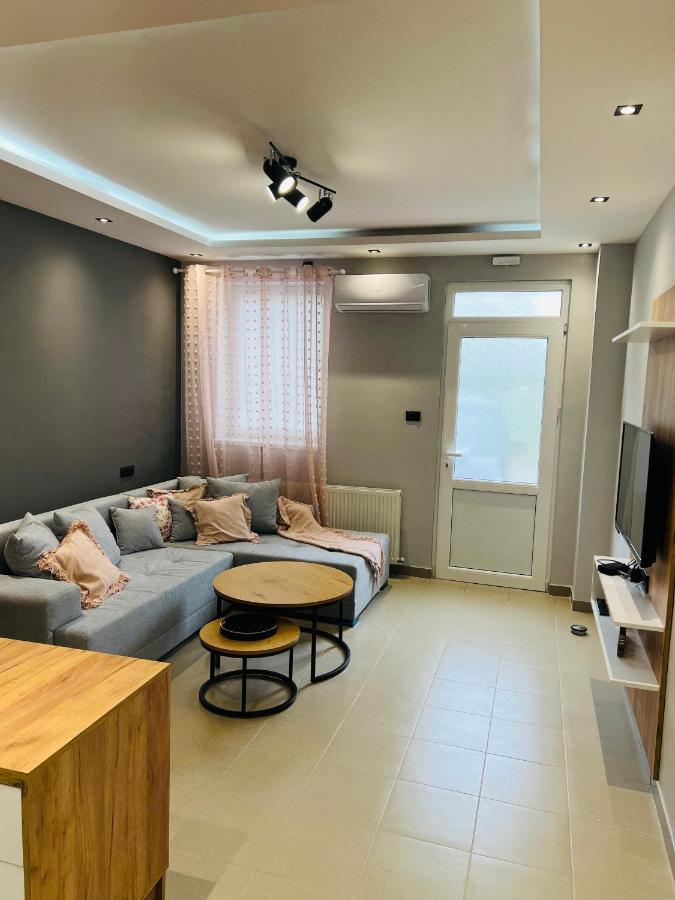 Apartman Novi Sad 彼得罗瓦拉丁 外观 照片