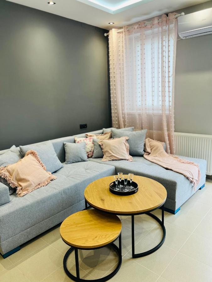 Apartman Novi Sad 彼得罗瓦拉丁 外观 照片