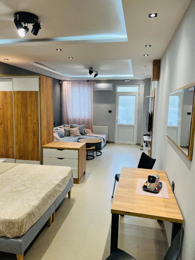 Apartman Novi Sad 彼得罗瓦拉丁 外观 照片